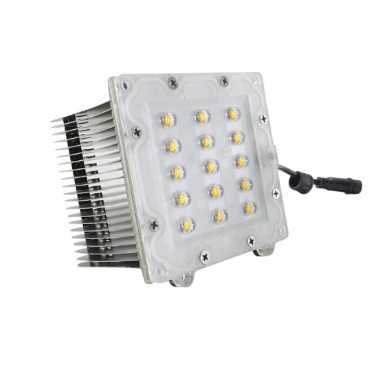 30W Led Module